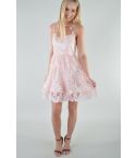Lovemystyle rosa Spitzen Mini-Kleid bestickt