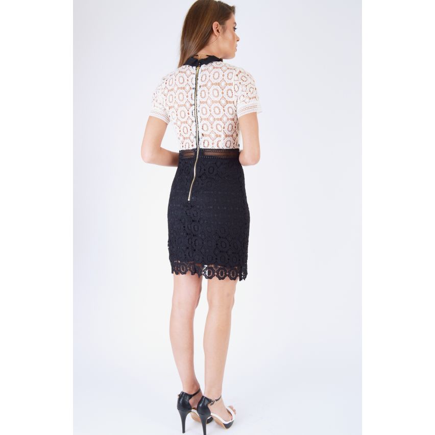 Danity figurbetontes Kleid mit monochromen Spitzen-Overlay