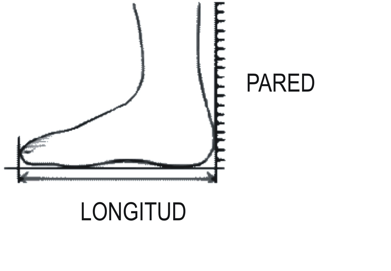 How to measure foot length